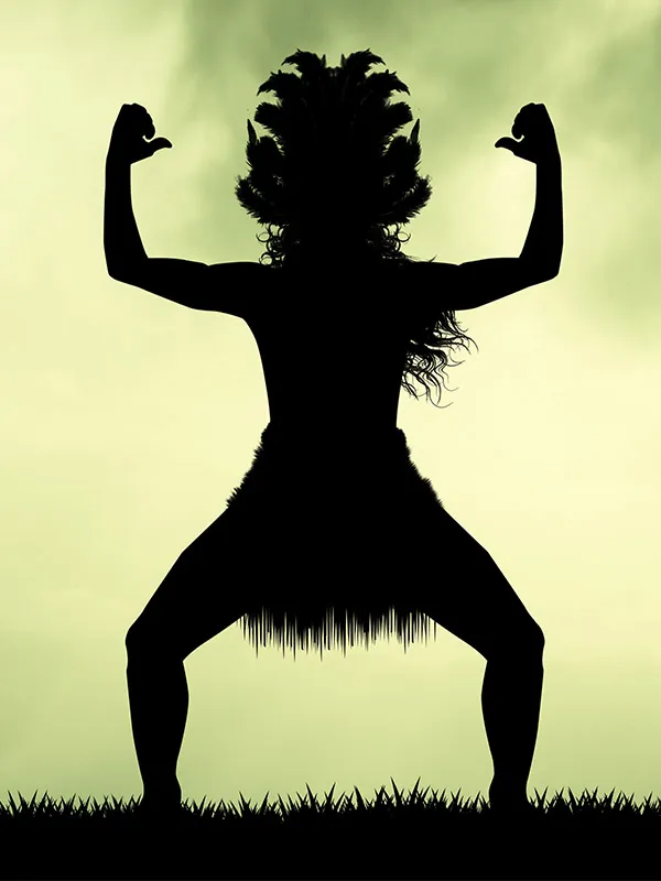 Haka Action Card
