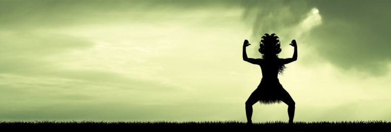 Haka Action Header Banners