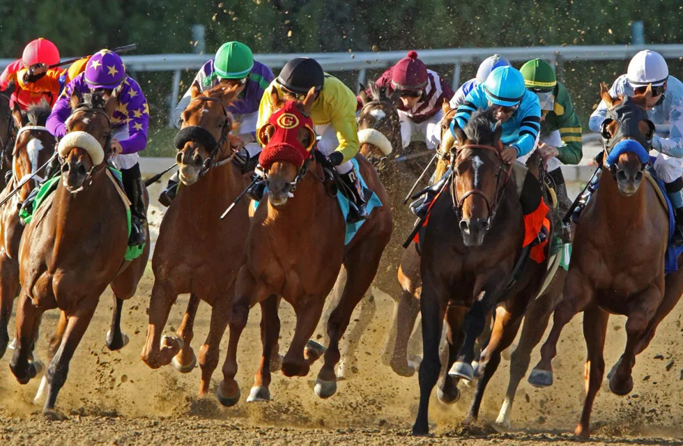 Virtual Race Night