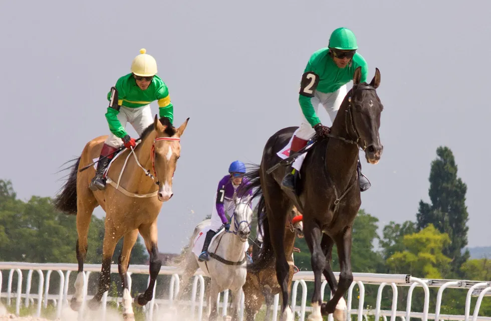 Virtual Race Night