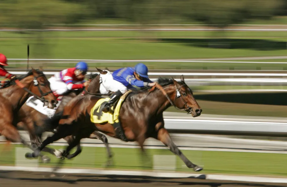 Virtual Race Night