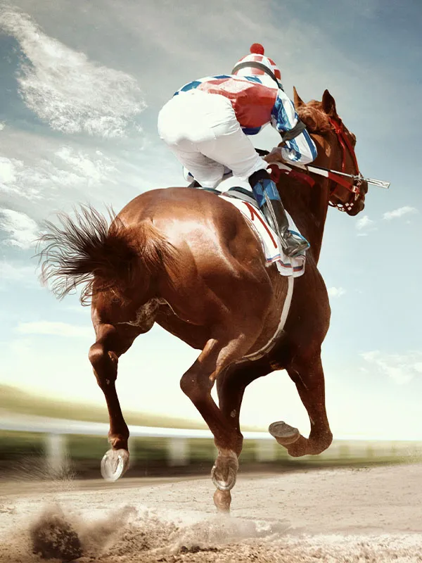 Virtual Race Night Card