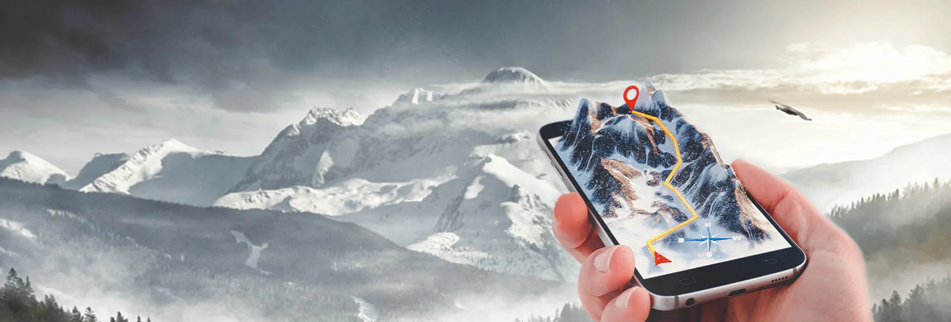 Summit Challenge Online