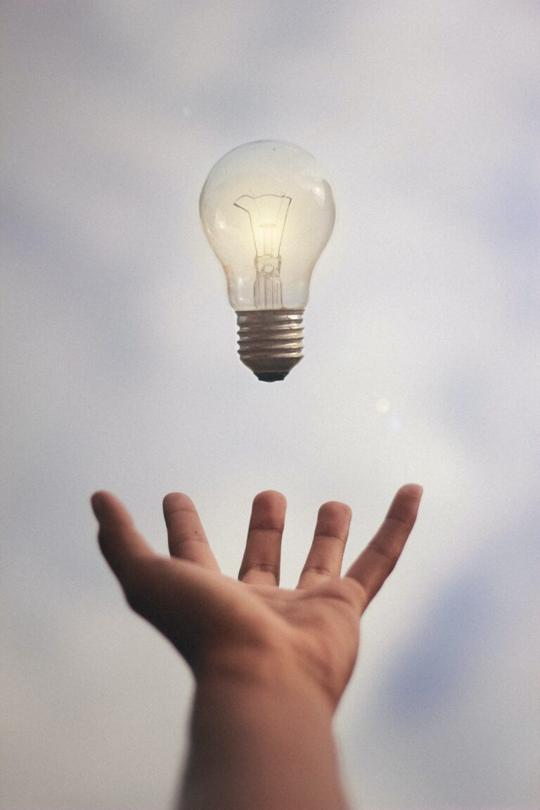 Learning styles lightbulb